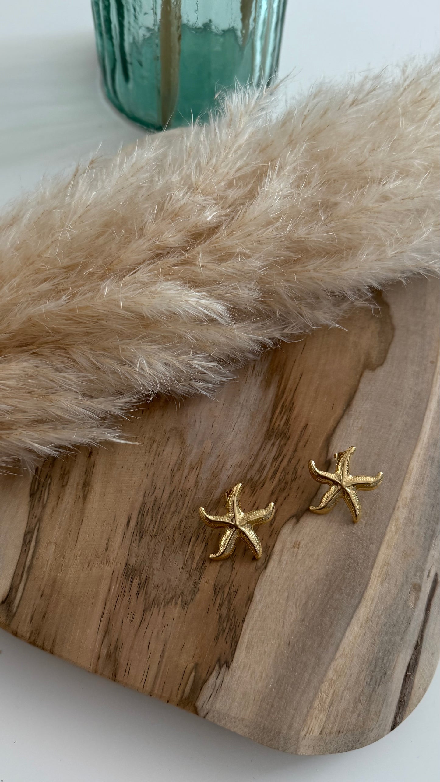 Boucles d'oreilles- ETOILE DE MER