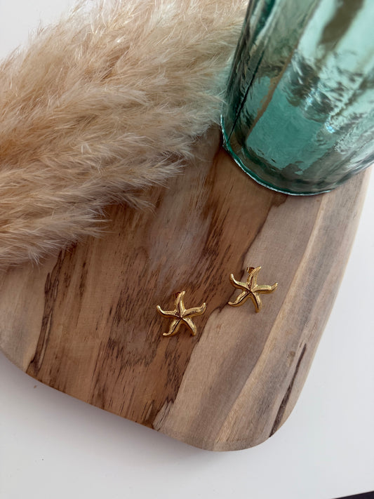 Boucles d'oreilles- ETOILE DE MER