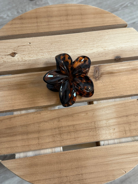 Pinces fleurs marron